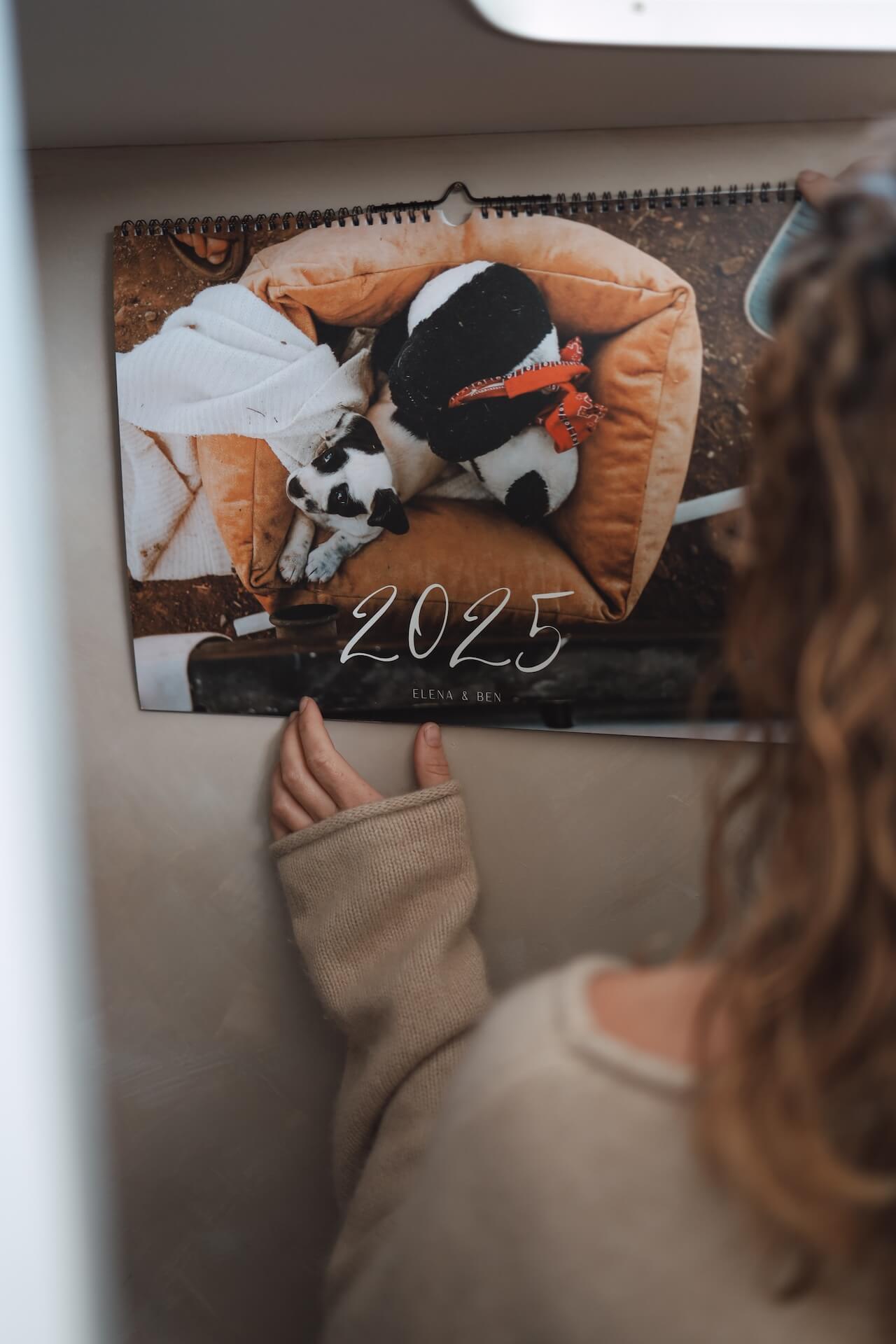 KALENDER 2025 - PANDA - GROß (limitiert)