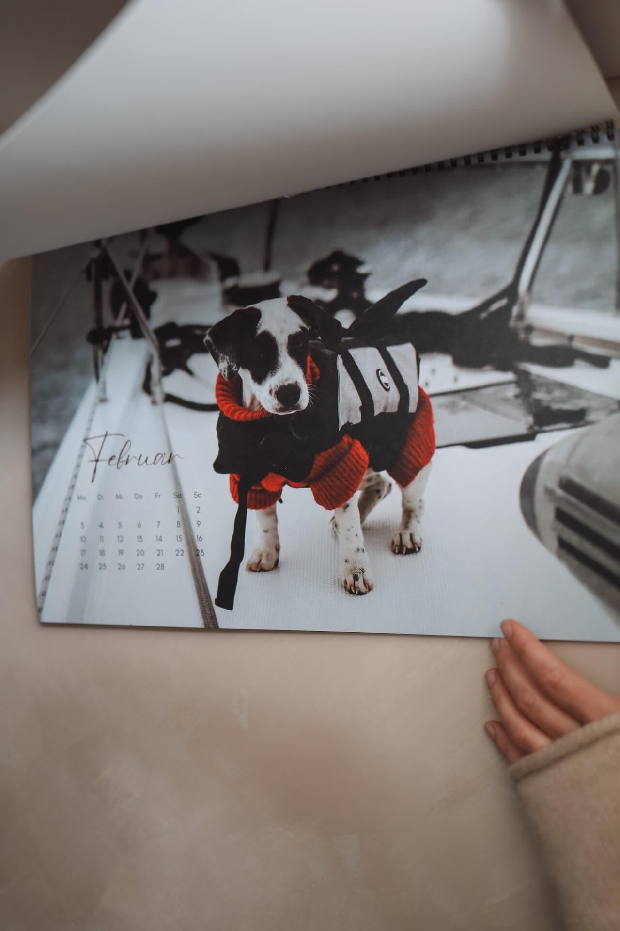 KALENDER 2025 - PANDA - GROß (limitiert)