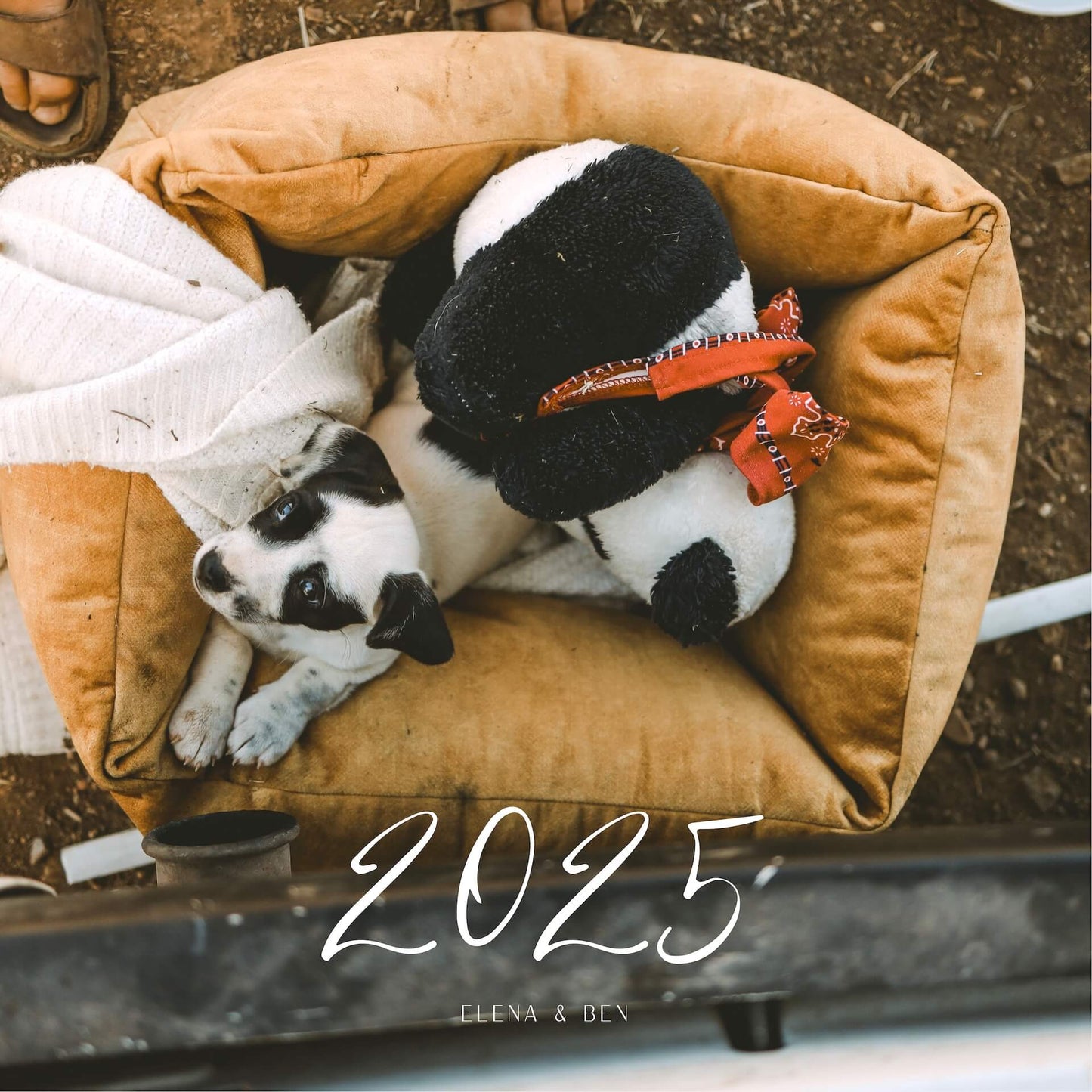 KALENDER 2025 - PANDA - KLEIN (limitiert)