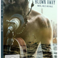 BLOWN AWAY | DVD (inkl. Online Film Stream)