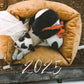 KALENDER 2025 - PANDA - GROß (limitiert)