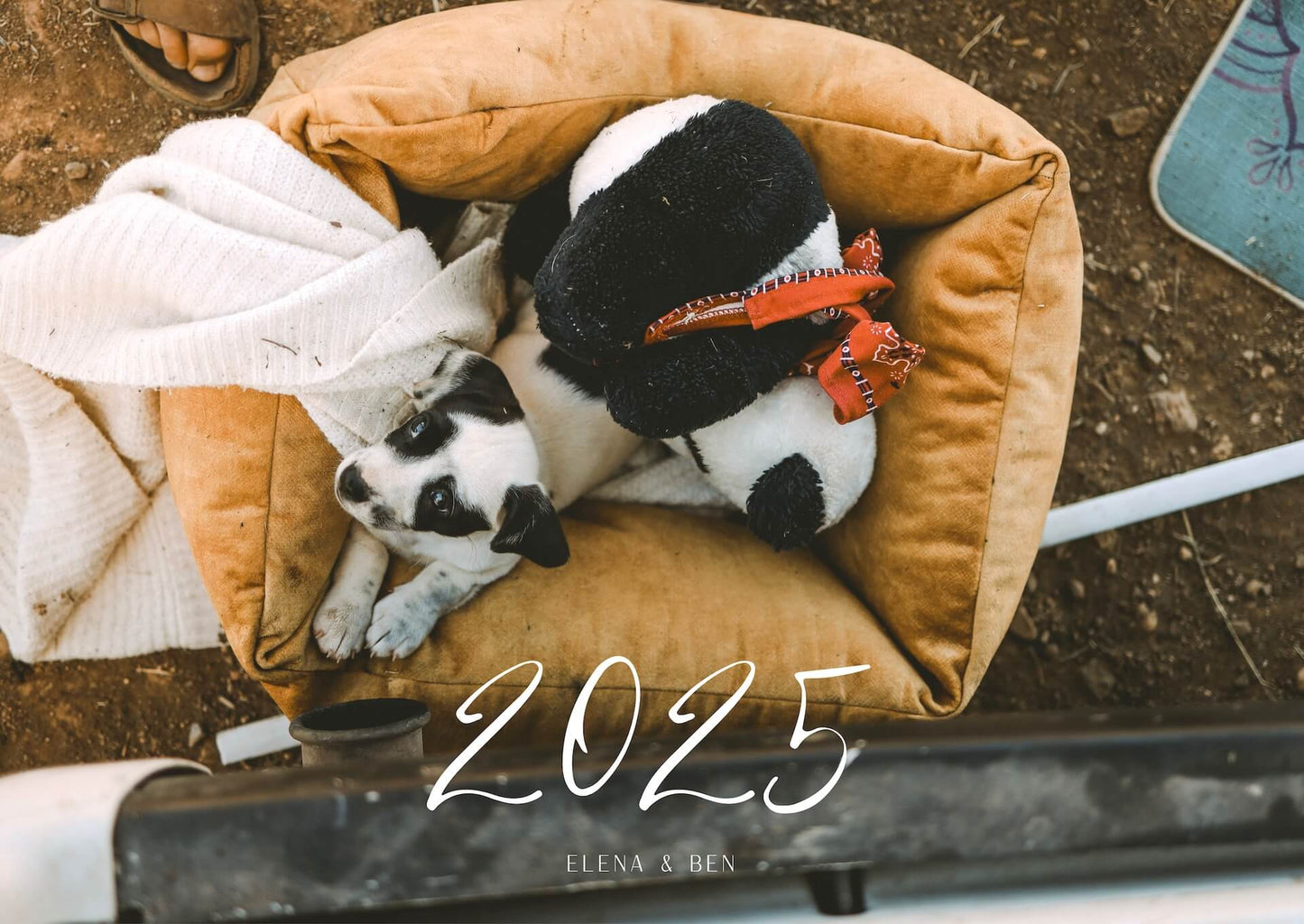 KALENDER 2025 - PANDA - GROß (limitiert)
