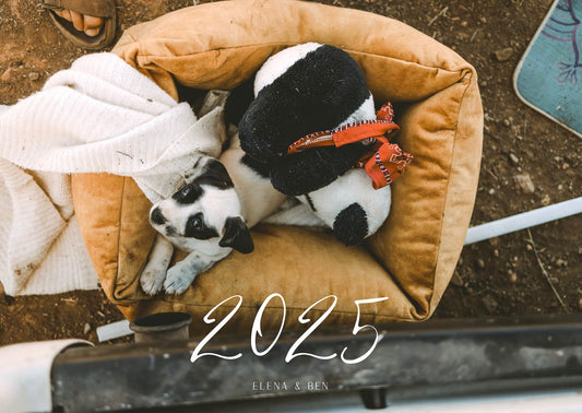 KALENDER 2025 - PANDA - GROß (limitiert)